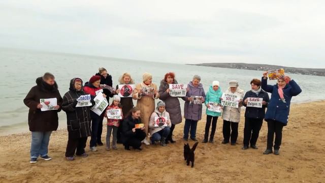 Щёлкино за ТАЙГАН! смотреть онлайн