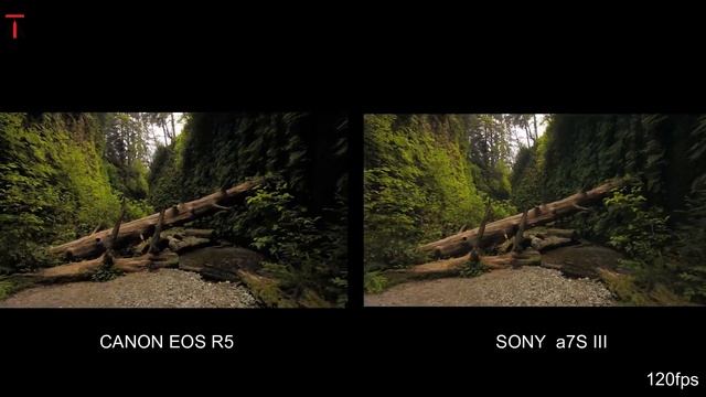 Sony a7S III VS Canon EOS R5 CAMERA COMPARISON смотреть онлайн