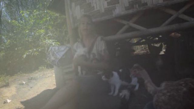 November 2016 Oracle Reading, "Trusting the Universe" смотреть онлайн