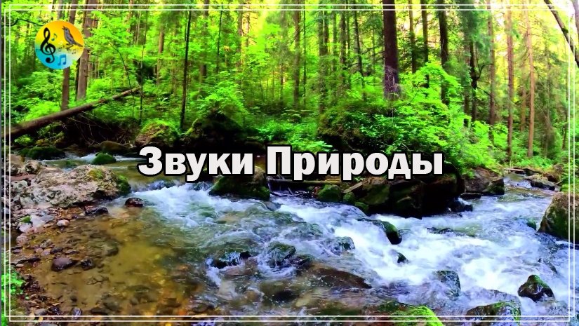 Релакс ? Полюбуйтесь, как течет красивая горная река ? Расслабляющие Пение Птиц Для Медитации смотреть онлайн