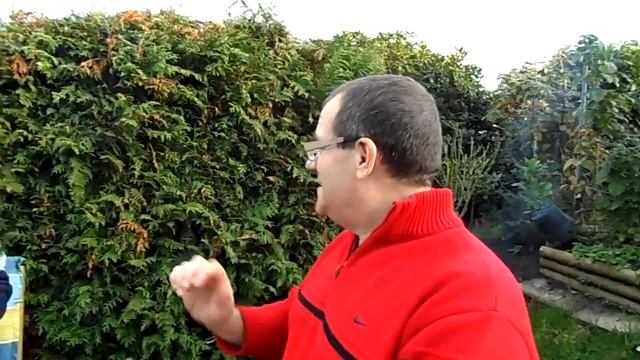 Михаил Михайлов и Сергей Дроздов в гостях у В.Баума в Германии. смотреть онлайн