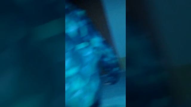 Ходим по лестнице смотреть онлайн