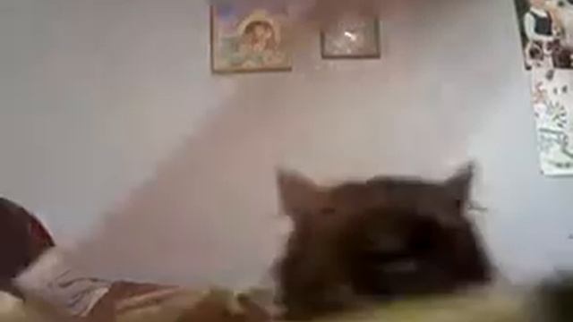 Угадайте где шутка ой это видео называется как я там в комнате сижу делаю вообщем смотреть онлайн