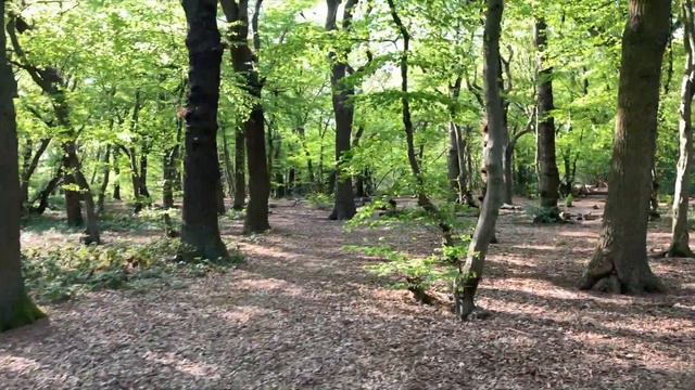 iphone Xs Max vs Samsung Note 8 смотреть онлайн