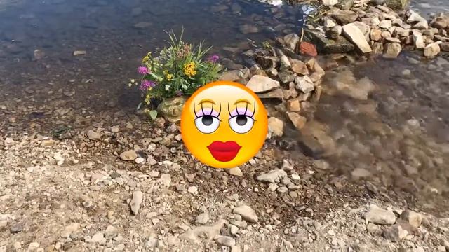 Красивый смайлик с цветком. 😉. смотреть онлайн