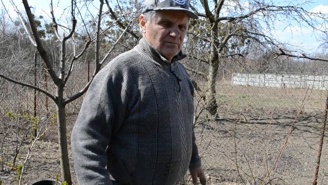 КРЫЖОВНИК - посадка крыжовника, уход за крыжовником смотреть онлайн