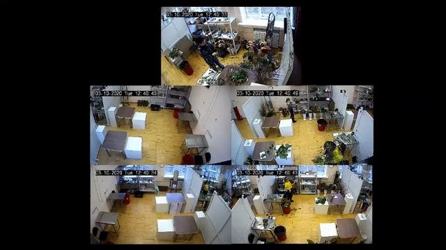 ДЭ 2020 - ГБПОУ КМБ№4 - Флористика - Студенты - 10.03.2020 смотреть онлайн