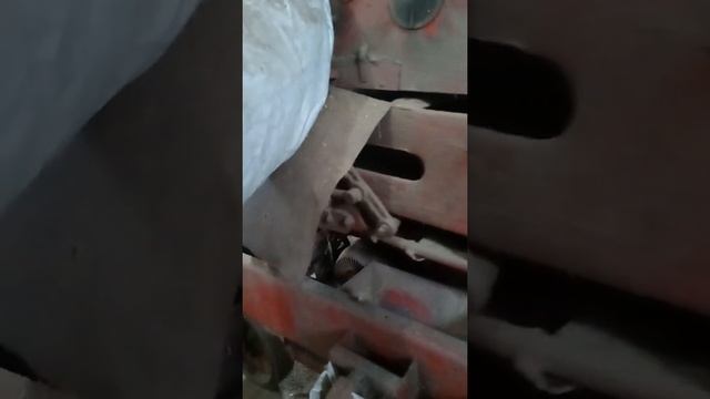 Как очистить Суданскую траву от мусора? Вот так) смотреть онлайн