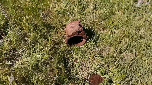 Тест аккомуляторов PALO с алиэкспресс смотреть онлайн