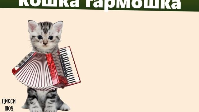 Кошка Гармошка смотреть онлайн