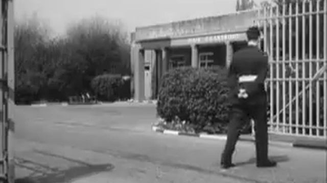 The Dambusters: A Dog Called Nigger смотреть онлайн