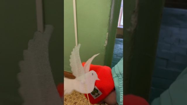 05-05-2023 лучшие дни #shorts