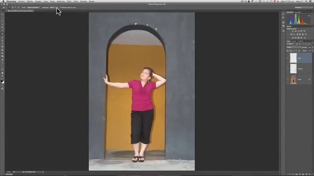 Photoshop CS 6 (Español) Video 7. Principiantes Y Profesionales. 9 Temas . Liclonny