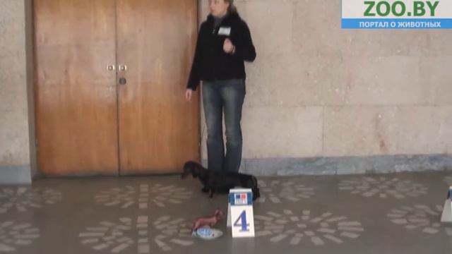 Лучший щенок смотреть онлайн