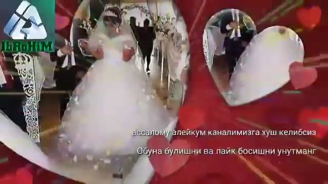 хит туй боб кушиклар/Шух кушиклар