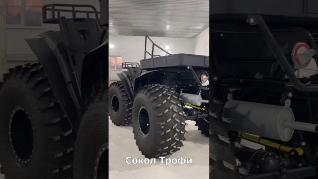 ВСЕ МОДЕЛИ СОКОЛ смотреть онлайн