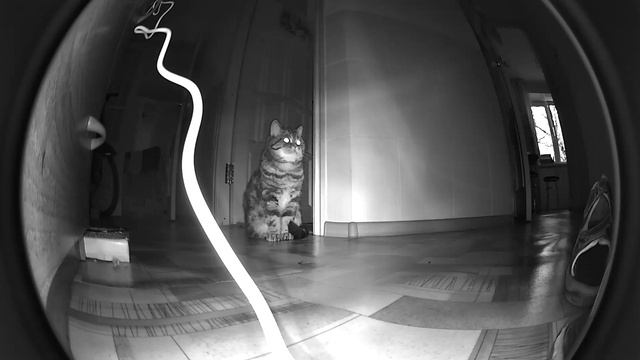 IP-cam Falcon Eye FE-ITR2000 test смотреть онлайн