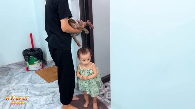 Unveiling Monkey Kaka's Morning Ritual: Teeth Brushing & Bath Time
