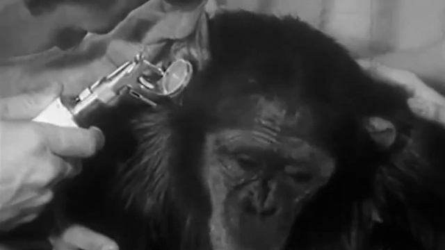 Удары током, высокая температура! Выжил ради всего человечества! Что пережил герой США смотреть онлайн