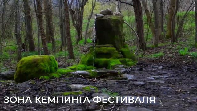 ТАМАНЬ 2024 ТЕРРИТОРИЯ смотреть онлайн