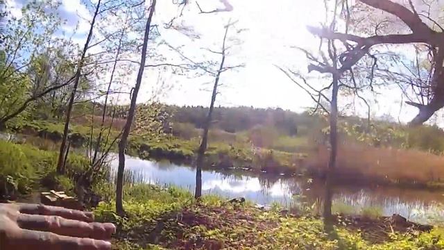 Беларусь, Печи ,река Плиса. Я с Мобибой пробил дорогу на старый пляж ! смотреть онлайн