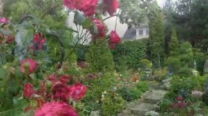 Сад Людмилы в Осиновой Роще-СПб- в Контакте...https://vk.com/id127371941