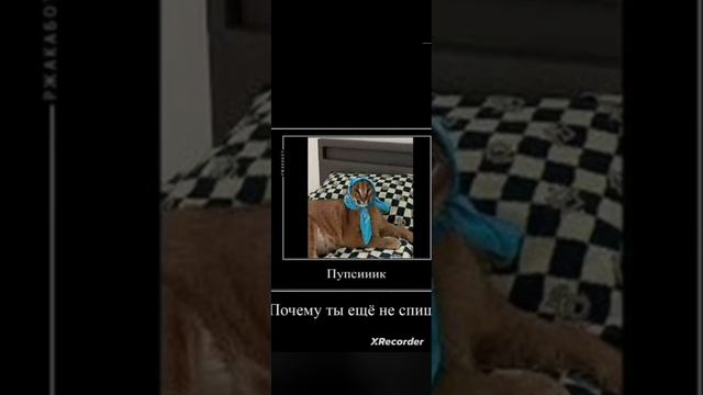 сорри я не знаю что придумать смотреть онлайн