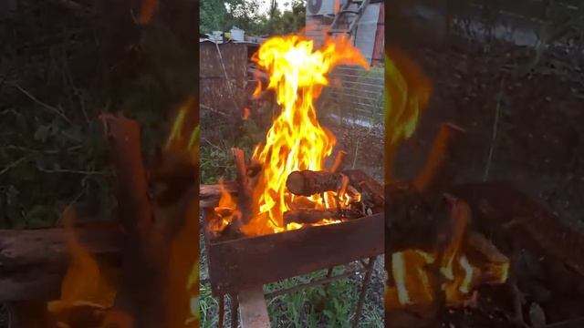 Дача,весело проводим время смотреть онлайн