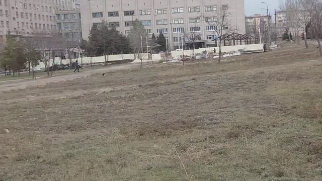 Кривой Рог 2 горбольница тысяка. смотреть онлайн