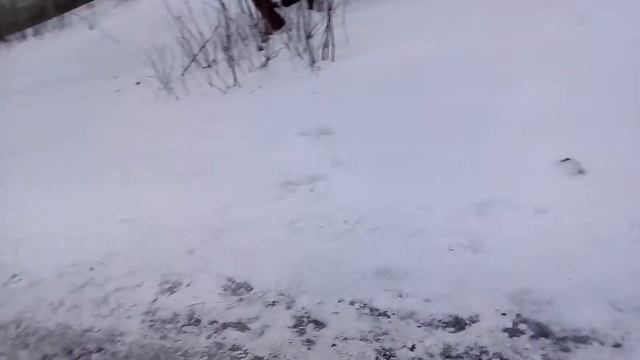 Напугали друзей до смерти!!! смотреть онлайн