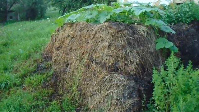 Хроника 2018. Часть 1. Закончился июль ... смотреть онлайн