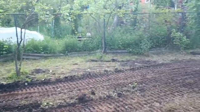 Планировка участка техникой, отсыпка песка грунта по территории. смотреть онлайн