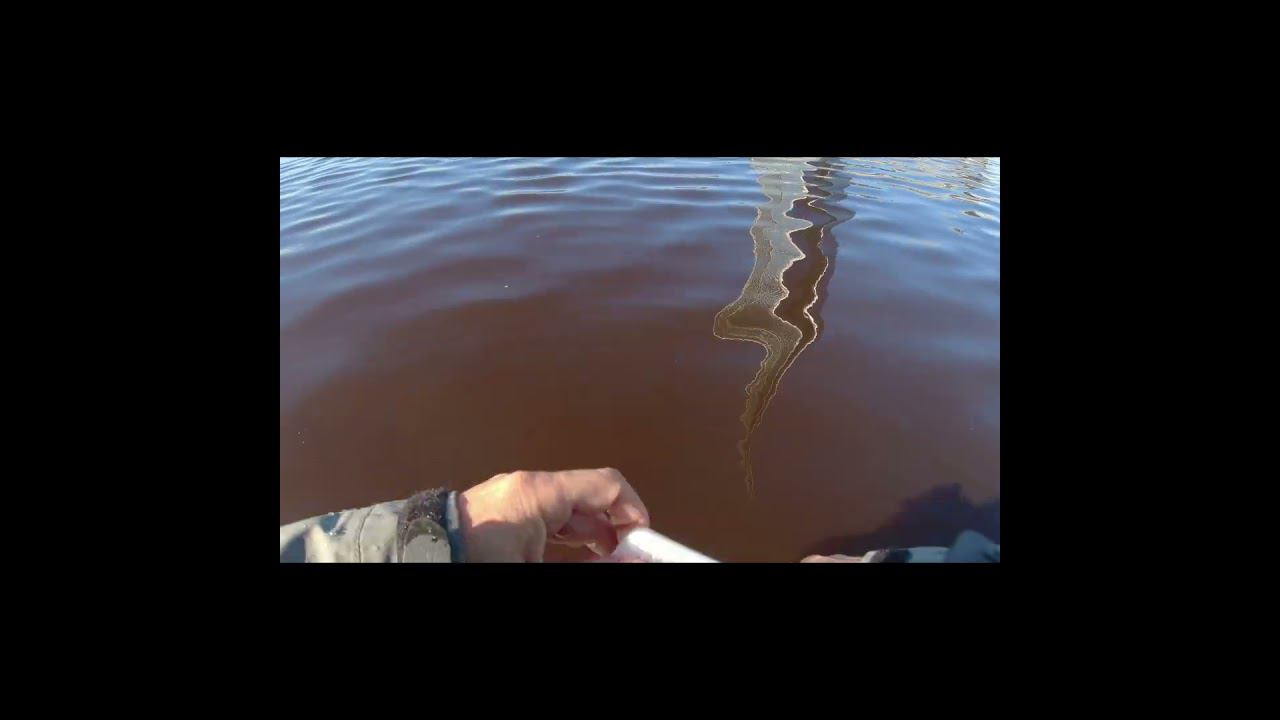 Мухи для мормо легко потерять :-) смотреть онлайн