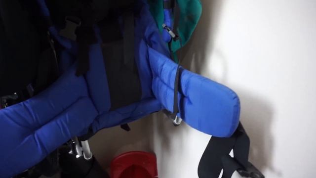 How Much Weight Can a Fly Actually Lift? Experiment—I Lassoed a Fly! смотреть онлайн