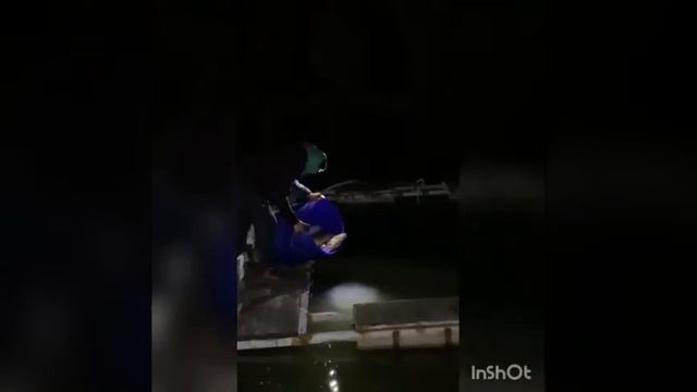 Рыбалка чеховски раеон сталбвая улица мир д 16 смотреть онлайн