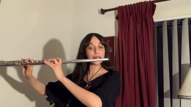 The Last Post - ANZAC Day - Flute Solo смотреть онлайн