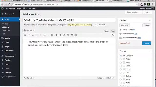 Youkipedia.com - WordPress For Beginners Part 3 - Create a Post смотреть онлайн