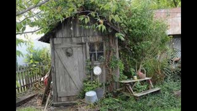 Let's Go NUTS смотреть онлайн