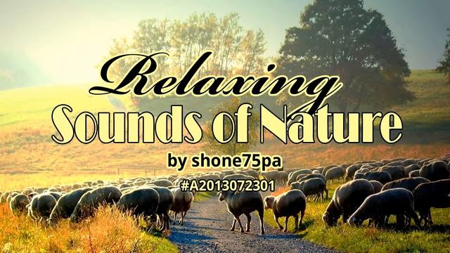 звуки животных. релакс смотреть онлайн