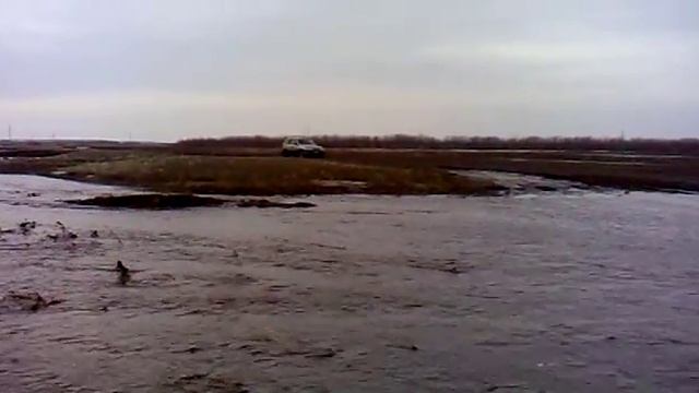 Шнива брод.avi смотреть онлайн