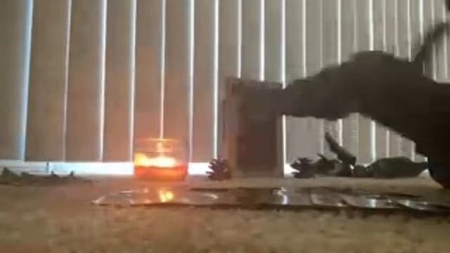 Random Tarot Reading 11/1/2023 CIRCLED BACK AROUND. ??? Why u left. Wrong person gives a Ear full ? смотреть онлайн