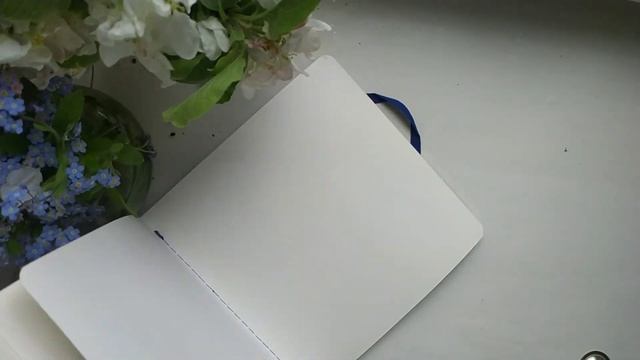 разочарование или восхищение от скетчбука фирмы Малевичь смотреть онлайн
