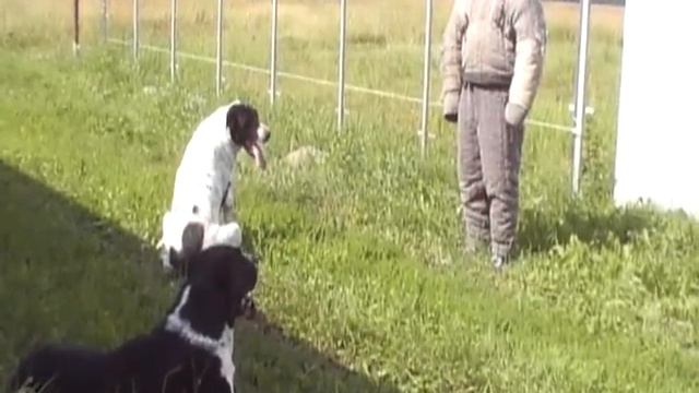 САО Мюрат и Майсун, работа в паре смотреть онлайн
