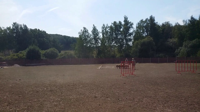 20140821_153826 смотреть онлайн