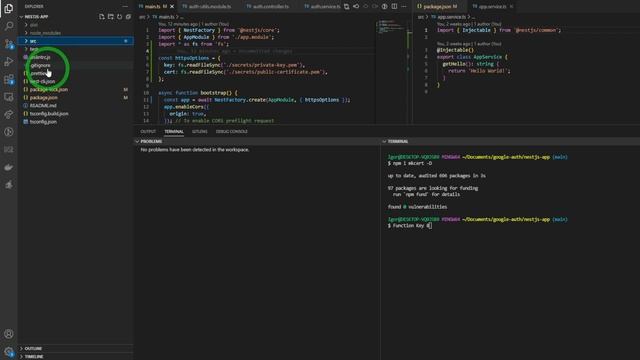 How to get HTTPS working in localhost with NestJS смотреть онлайн