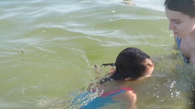 VLOG Кого из животных привезли Настя и Катя на море. Алиса ныряет смотреть онлайн