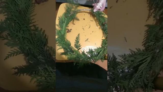 Мк. Венок из шишек смотреть онлайн