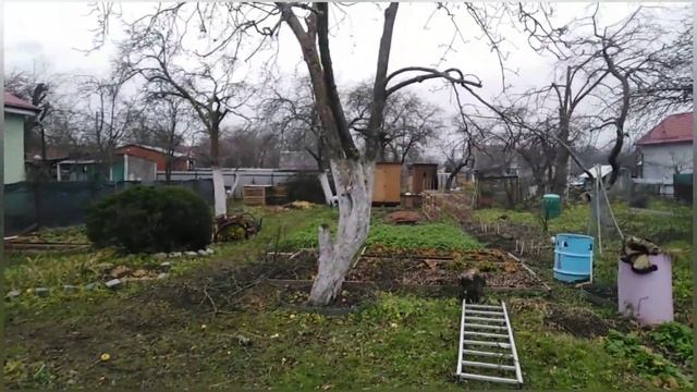 Каков результат!!! Обрезка плодовых деревьев в старом саду Съемка до и после обрезки. смотреть онлайн