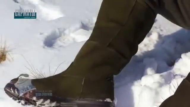 Сапоги зимние «Сарматы» зима (натуральный мех) смотреть онлайн
