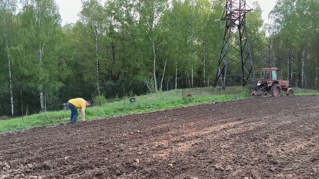 Монтаж капельного полива, посадка роз.  Отдыхать хорошо, но дела не ждут.//Наша жизнь в деревне